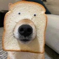 Hệ thống_"bread"