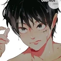 Monkey D Luffy _ ss_