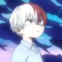 SHOTO TODOROKI