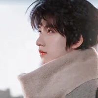 Hạ Tuấn Lâm