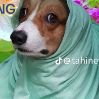 Hệ thống 0367