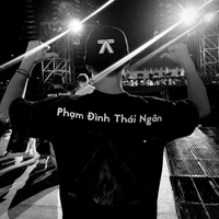 Phạm Đình Thái Ngân 24