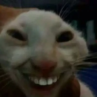 mọi người ở đấy