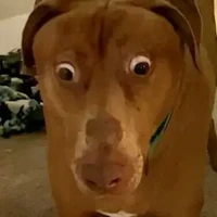 một thằng hãm nào đó