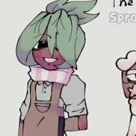 dâu tây(ấm dâu 🍓)