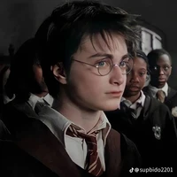 Harry James Potter