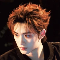Đinh Trình Hâm