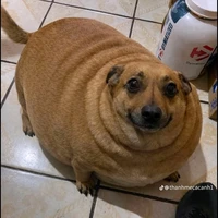 tổng hợp(- con nào thì  trừ)