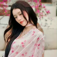 Han Sara