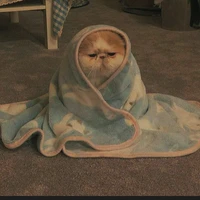 Tác giả thưn thịn