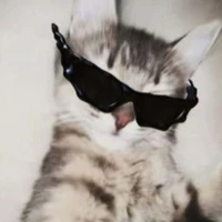 con hệ thống zô tri