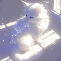 Yin