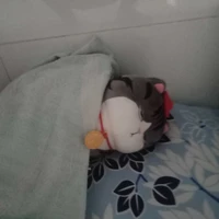 mina(mọi người)