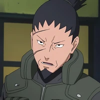Nara Shikaku