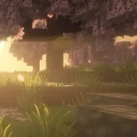 Mọi Người ( - Người Tùy Trường Hợp)