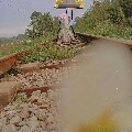 Tác giả