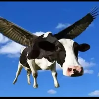 tất cả mọi người