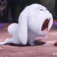 Thỏ ăn cỏ