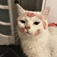 Huỳnh Thị Ngọc Dương