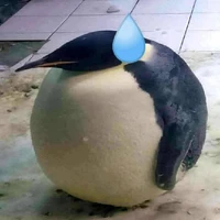 Ai đó