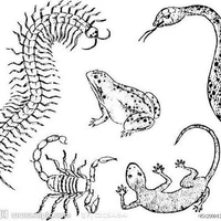 Cổ trùng (đủ thể loại)