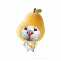 mèo xoài <hệ thống số 36th>