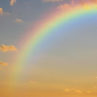 All Country có mặt