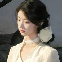 trần hàm linh