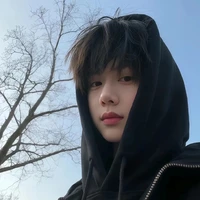 Trần dịch hằng