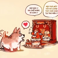 Tác giả cute