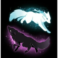 bạn tác giả/nhàn