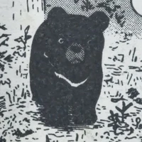 Gấu con
