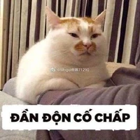 all ( trừ ai thì trừ )