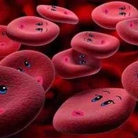 ly(vẽ nhiều nhất lớp)