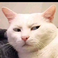 Hoàng Linh (cx cốt t luôn)