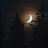 Người Môi Giới