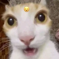 all trừ ai thì trừ