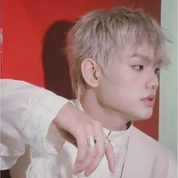 Bùi Trường Linh(Bình Trường Lui)_E