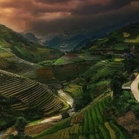 lã nguyệt/bt n9