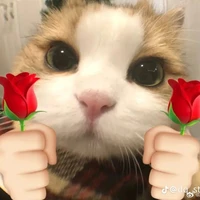 Tác giả của các vo iu ><