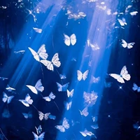 Dương_D