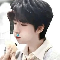 Hạ Tuấn Lâm