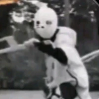 Crros sans