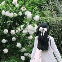 Nguyễn  Quỳnh Anh