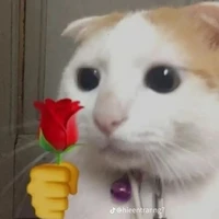 all