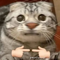 cả lớp