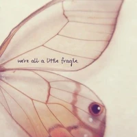 Nhân vật trữ tình.