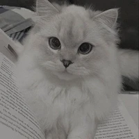 𝐇𝐞̣̂ 𝐭𝐡𝐨̂́𝐧𝐠𝟐𝟎𝟏◇𝐋𝐮𝐫𝐲◆