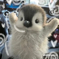 ☁️Mây☁️(tg)