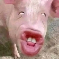 bố là t/g😏